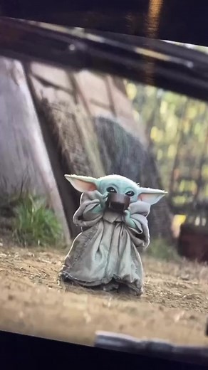 Would you want a baby Yoda? | The World Of Baby Yoda