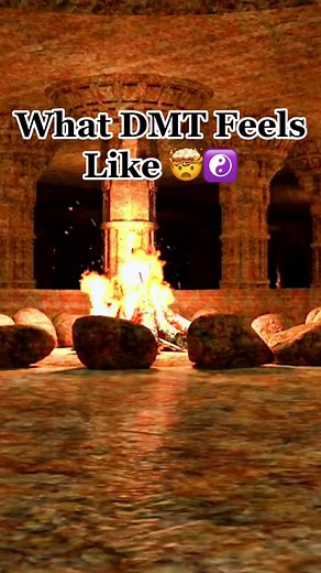 Exploring the Mind: DMT POV Experience