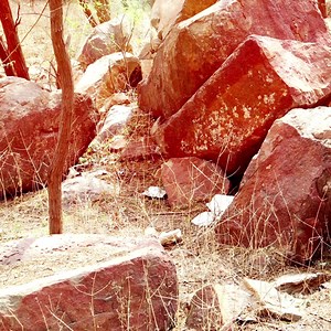 DAILY BIBLE VERSE Psalm 71:8 KJV [8] Let my mouth be filled with thy praise and with thy honour all the day. God Bless Everyone!  #bibleverseoftheday | Gateway Christian Baptist Church - Calamba City | Facebook