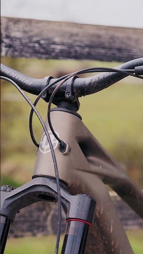 ZENDIT, where power, performance and beauty come together.