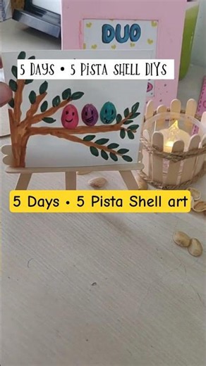 ✨ Day 4/5: Pista shell art🎨🐚 Easy Craft