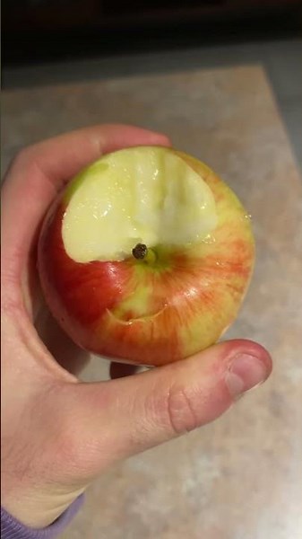 How to eat an apple the right way ✅🍎