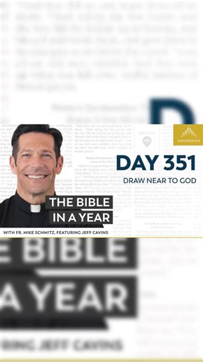 Day 351 BIY In Action