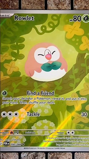 Rowlet (090/088 - Illustration Rare Holofoil) - Mega Evolution: Perfect Order - Pokemon TCG