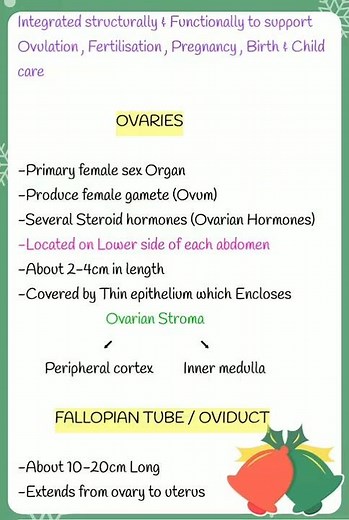 HUMAN REPRODUCTION Notes Class:12 NEET short Notes #shorts #neet2022 ❤️⚕️