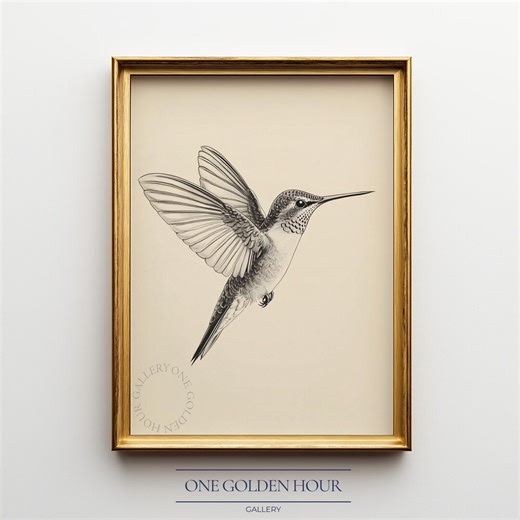 Hummingbird Printable Art - Detailed Minimalist Pencil Sketch, Nature Wall Art, Digital Download 1078 - Etsy