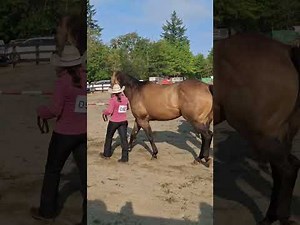 First time to see the horse show in Port Alberni