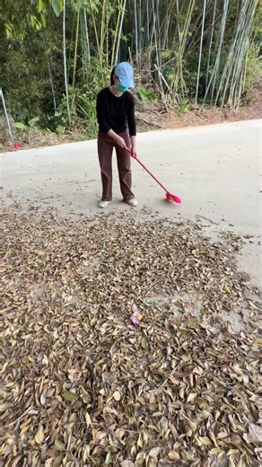 Effortless Cleaning with a Powerful Leaf Blower