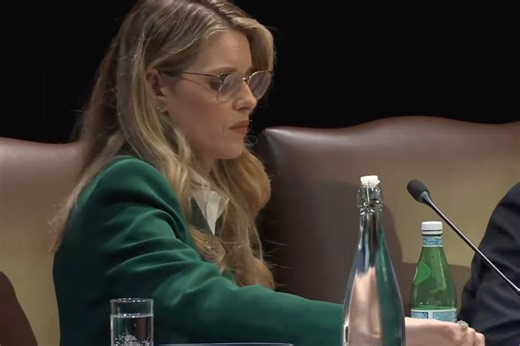 Religious Liberty Commission boots former beauty pageant winner during meeting on antisemitism