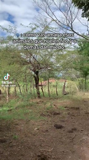 Videos de C.r.m.a🐴🐓🐄 (@usser_name.2026) con “sonido original - C.r.m.a🐴🐓🐄”