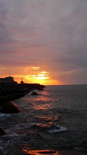 sea seen #sea #seafood #viral #travel #trending #nature #viralshort #love #ram #singer #music #art