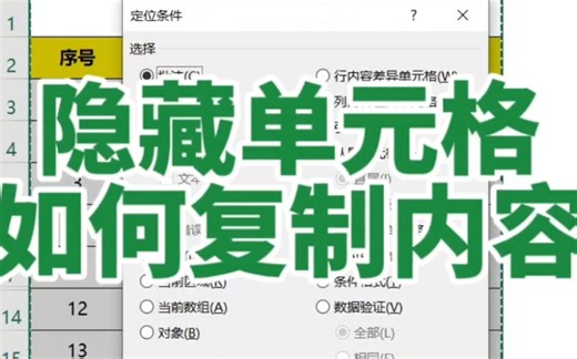 Excel复制隐藏如何复制内容