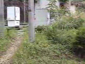 秘境駅・小和田駅周辺(JR飯田線)