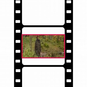 Anamorphic shooting with FX9