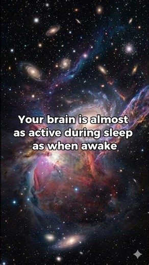 3 Facts About Sleep | FactNOVA