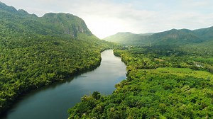 You Wont Believe These Incredible Man-Made Forests Exist!