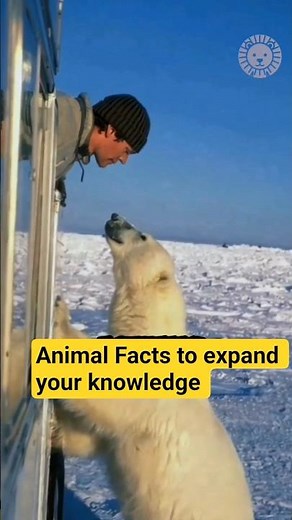 10 Animal Facts to expand your Knowledge.