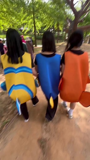 물고기 졸사 촬영법: 니모·도리 컨셉 추천