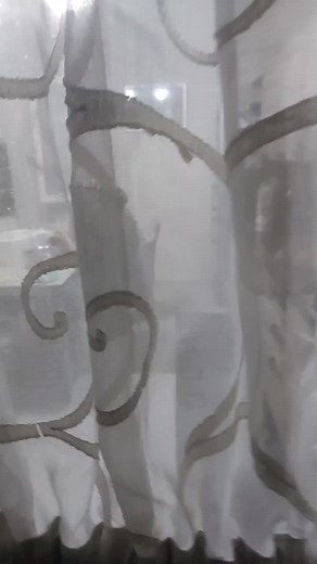 Potato Peeling Techniques in a Modern Kitchen