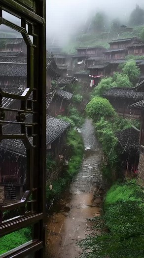 Captivating Rain and Nature Video