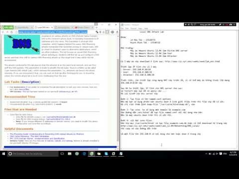 Local DNS Attack Lab
