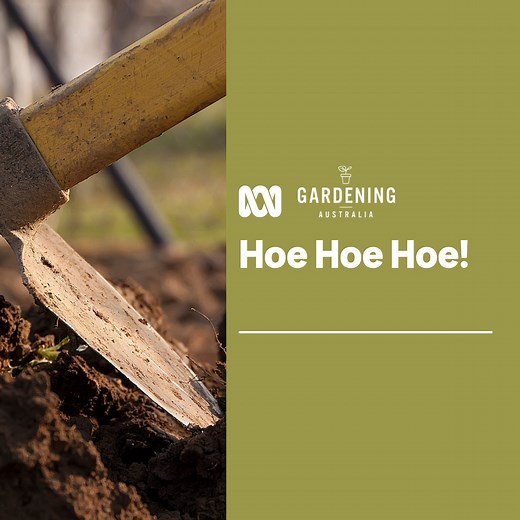 19K views · 628 reactions | Hi hoe - Tino’s off to work on the Patch...