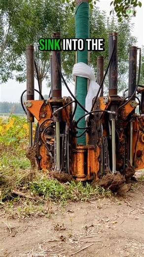 This Machine Moves Full-Grown Trees #tree #shortsviral