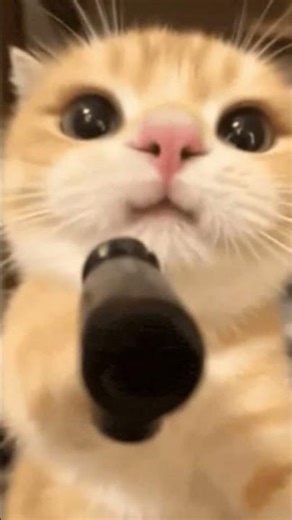 verry scary stories part 43