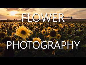 This flower photography made me SO HAPPY (tutorial with tips, settings, ideas)