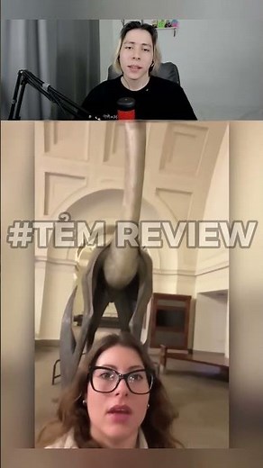 cô gái này đã được con chim thời tiền sử #temreview #memes #memevietnam #meme #funny #haihuoc