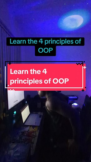 Understanding the 4 Key Principles of OOP