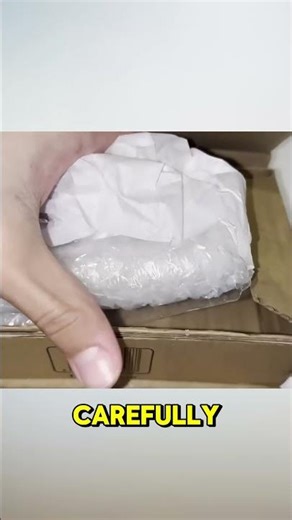 Did My Ants Survive the Shipping #antcolony #unboxing