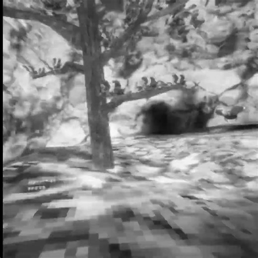 I'm not a zenin anymore. slow clips #gorillatag #vr #uploadvr #gtag #quest2 #quest3