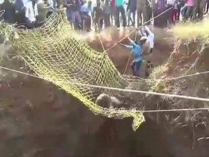 15K views · 312 reactions | RAREST OF THE RARE RESCUE: INDIAN...