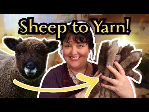 Spinning Yarn from one of Britain's OLDEST Sheep Breeds! 🐑🧶
