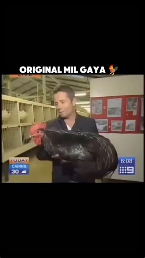 💀 Desi Meme.exe | Dark Humor 🇮🇳 on Instagram: "1997년 개봉한 영화 Titanic은 잭과 로즈의 운명적인 사랑을 통해 비극 속에서도 오래 남는 감정의 깊이를 보여주는 작품입니다. 화려한 연출보다 인물의 감정에 더 집중한 제임스 카메론 감독의 스타일은 지금 다시 봐도 묘하게 가슴을 울리죠. 배가 침몰하는 장면이 아닌, 두 사람이 서로를 바라보던 순간들이 더 강하게 기억에 남는 영화이기도 합니다. 이 감정을 완성해주는 곡이 바로 셀린 디온의 *“My Heart Will Go On”*입니다. 처음 들으면 잔잔한데, 어느 순간 자연스럽게 가슴이 벅차오르는 느낌을 줍니다. 특히 후반부의 고조되는 보컬은 영화 속 잭과 로즈의 마지막 장면과 겹쳐지면서 괜히 마음이 서늘해지기도 하고요. 많은 분들이 “이 노래가 나오면 왜 그 장면이 자동으로 떠오르는지 모르겠다”고 말하는데, 그만큼 영화와 음악이 자연스럽게 얽혀 있는 곡입니다. 1998년 아카데미 주제가