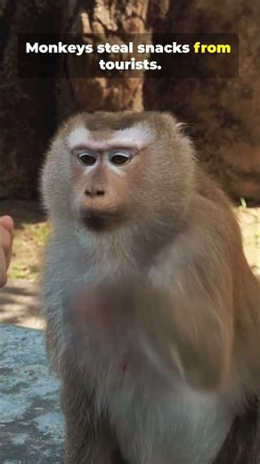 Travel Disasters That Will Make You LOL