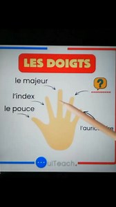 9.6K views · 236 reactions | The fingers of the hand in French|Learn and speak french with Alain and Moh #learnfrench | OuiTeach & French Becomes Easy | Facebook