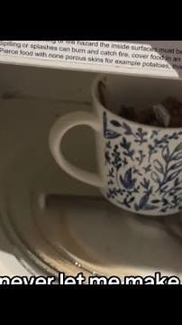 Microwave Disaster: Mug Brownie Mishap with Spoon Inside || WooGlobe