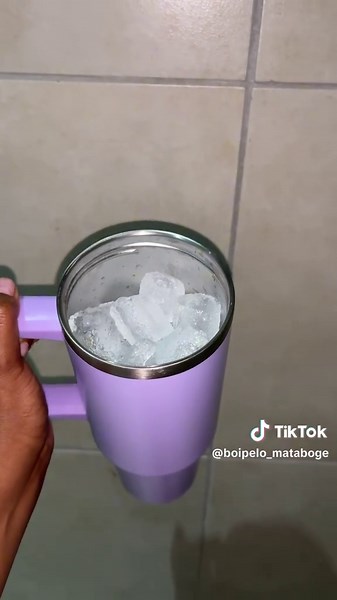 Honest Review of Affordable Stanley Cups in South Africa