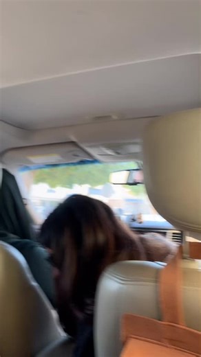 Enjoy a Perfect Picnic Experience