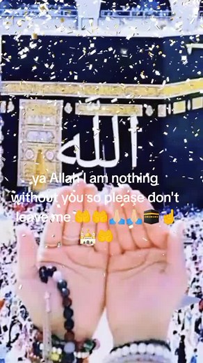 ‏ya Allah I am nothing without you so please don't leave me 🤲🤲❤️
