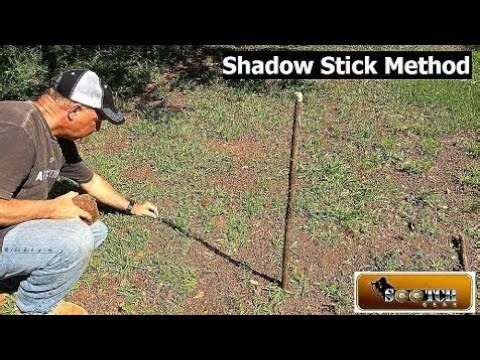 Tree Height Measurement | Daily Life Maths | Trigonometry + Proportional Method”