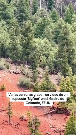 Bigfoot: Mito y Realidad en Colorado