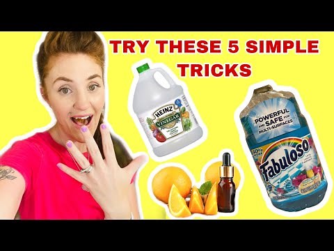 THESE SIMPLE TRICKS MAKE YOUR BATHROOM SMELL AMAZING/ NO MORE ODOR/ Stephanie McQueen