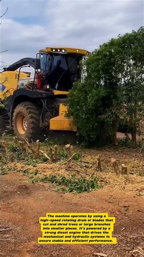 Powerful Tree Shredder Machine | Modern Forestry Equipment in Action 🌳💪