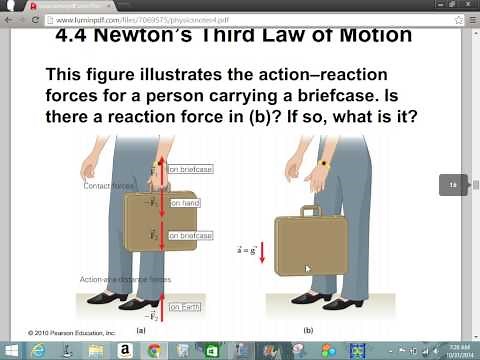 Physics Chapter 4 Forces and Motion
