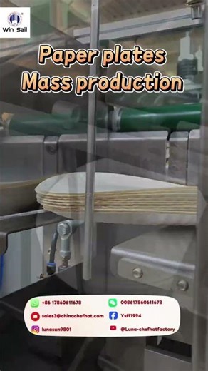 Manufacturer—Paper plates are in mass production. #factoryproducts #manufacturing #paperplate