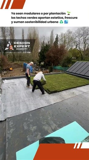 🌿 Techos verdes: modular o sembrado, dos formas de cubrir una azotea viva | DesignExpert