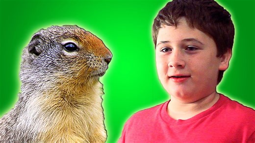 Topher gets a gopher